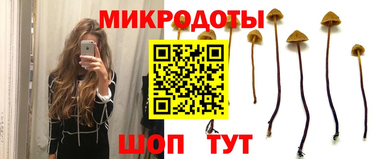 Можайск  Галлюциногенные грибы Psilocybe  Галлюциногенные грибы мицелий  Вход с VPN 